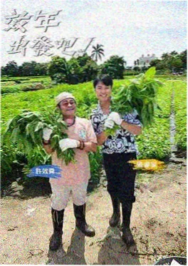 喜欢你我也是